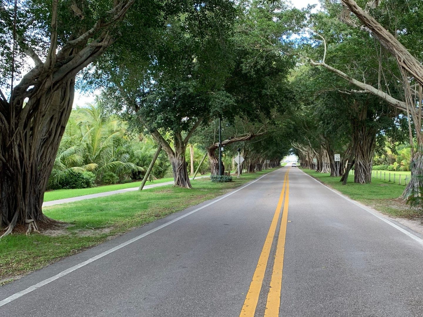 Hobe Sound real estate
