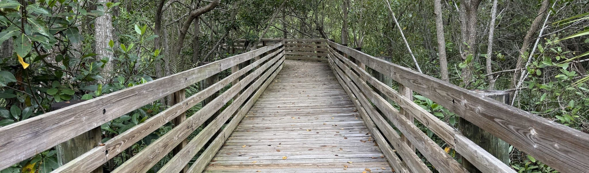 Best Things to Do in Hobe Sound, Florida