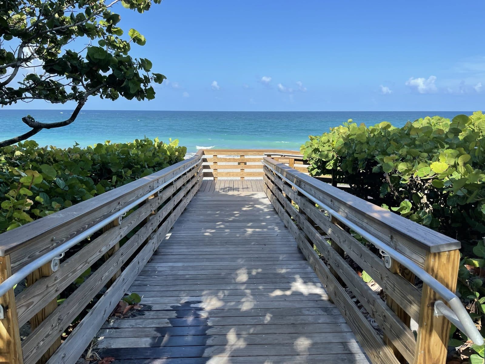 Juno Beach 1