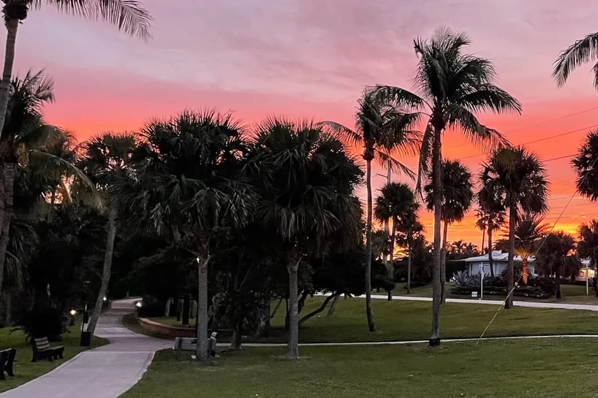 Palm trees and a lawn crossed by curving paths at the Juno Beach Town Center at sunset, with benches and path lights at left