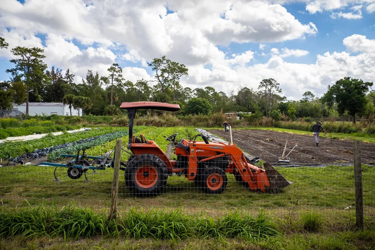 Orange tractor parked behind a wire fence beside planted rows and freshly tilled soil on a working farm in Loxahatchee Groves, with tall pines and a big cloudy sky behind