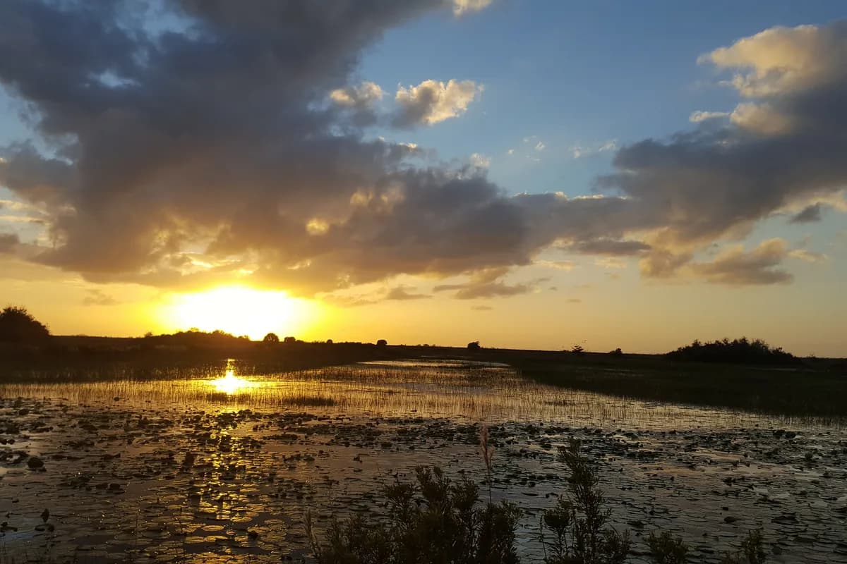 Golden sunset over the wetland impoundments of Arthur R. Marshall Loxahatchee National Wildlife Refuge, with big clouds and a wide, flat horizon