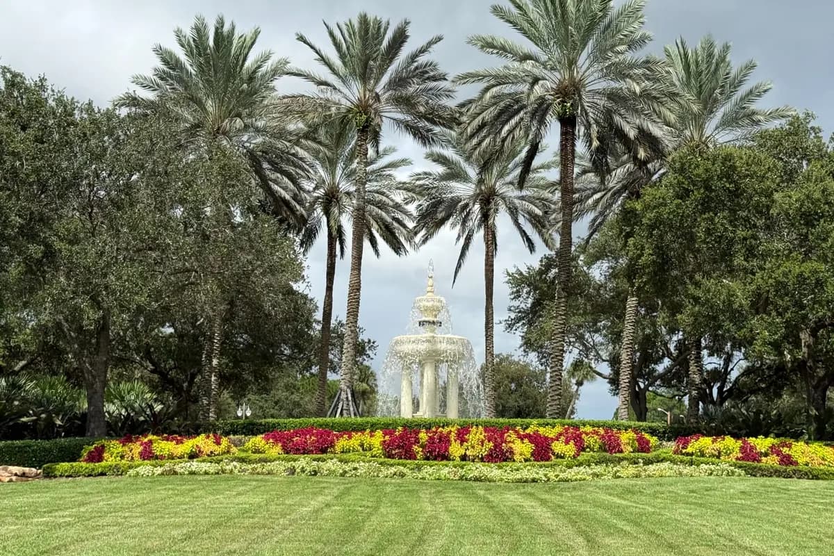A tiered white fountain in a landscaped roundabout with red and yellow coleus beds, date palms and oaks, and a striped lawn in the foreground, inside Mirasol in Palm Beach Gardens