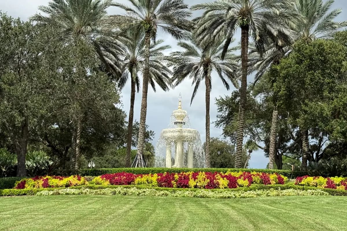 A tiered white fountain in a landscaped roundabout, framed by tall date palms and live oaks, with beds of red and yellow coleus and a mown lawn in front, at Mirasol in Palm Beach Gardens