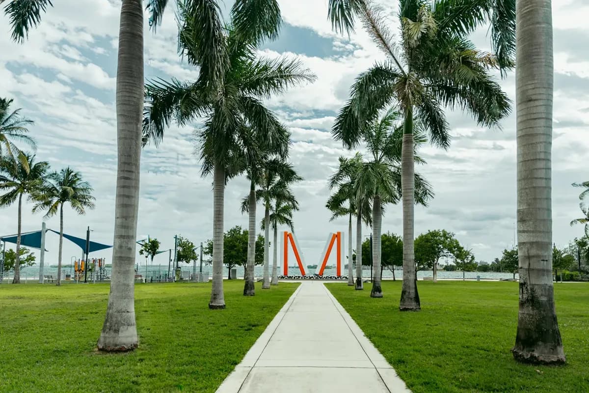 A concrete walkway lined with royal palms across a lawn toward a playground with shade sails