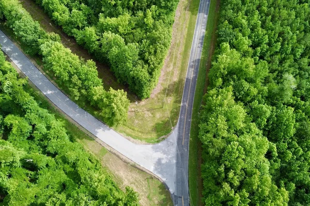An aerial view of a paved road forking through dense green trees