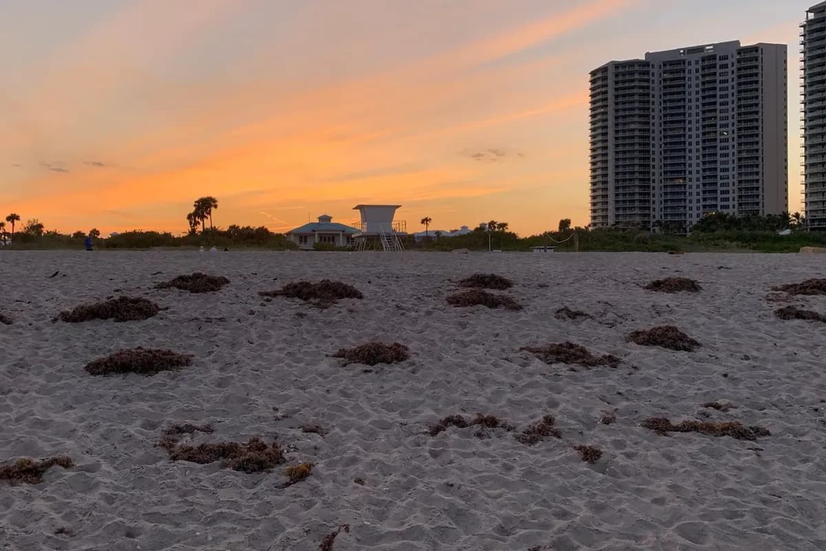 A Singer Island beach at dusk under an orange sky, with a lifeguard stand, a teal-roofed beach pavilion and condominium towers at the right