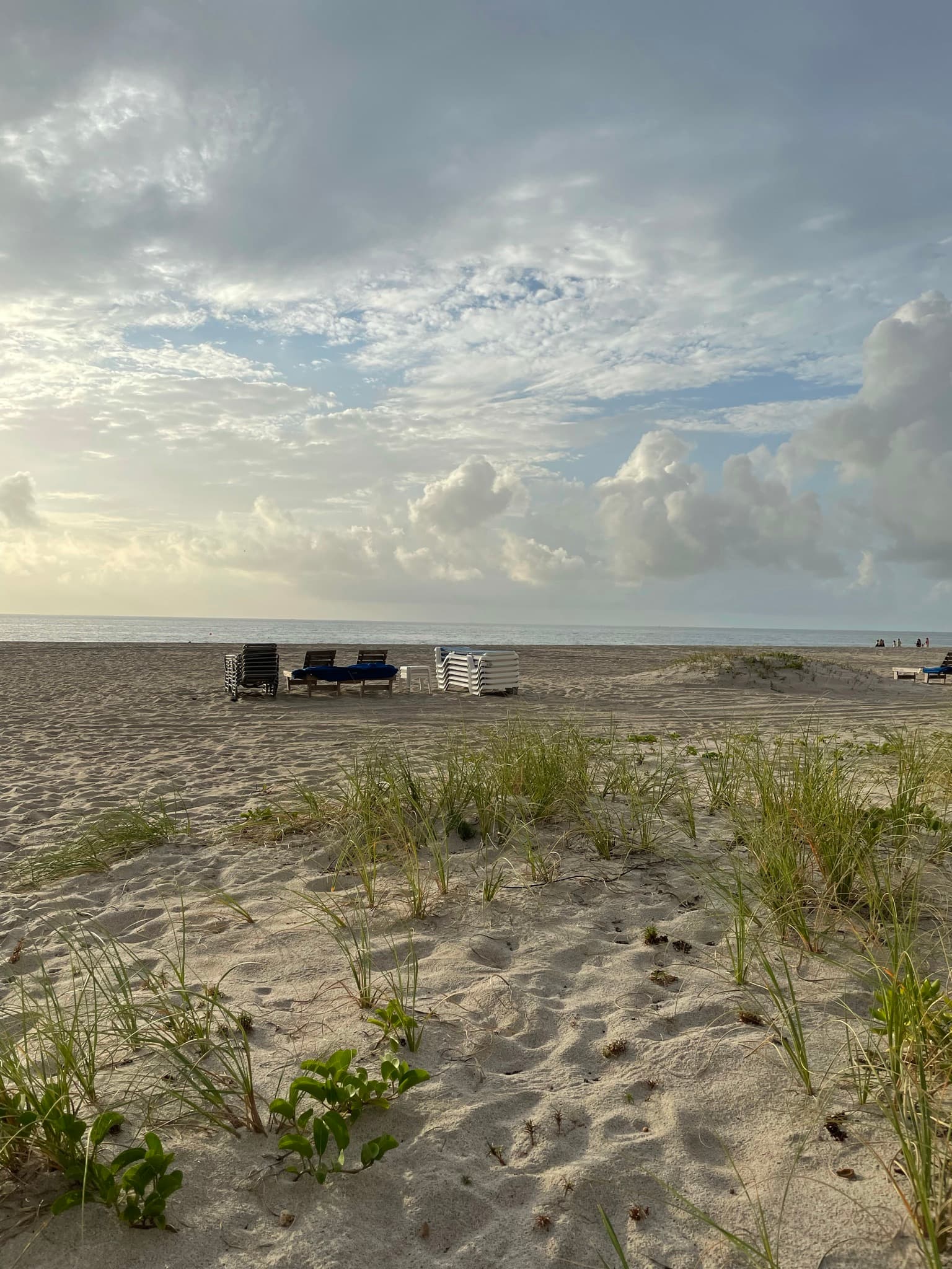 Singer Island 3