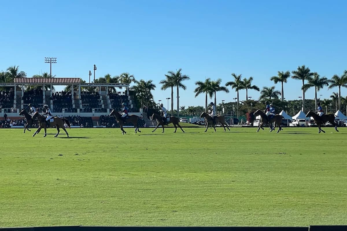 Two polo riders and horses on a grass field in front of a covered grandstand and palm trees