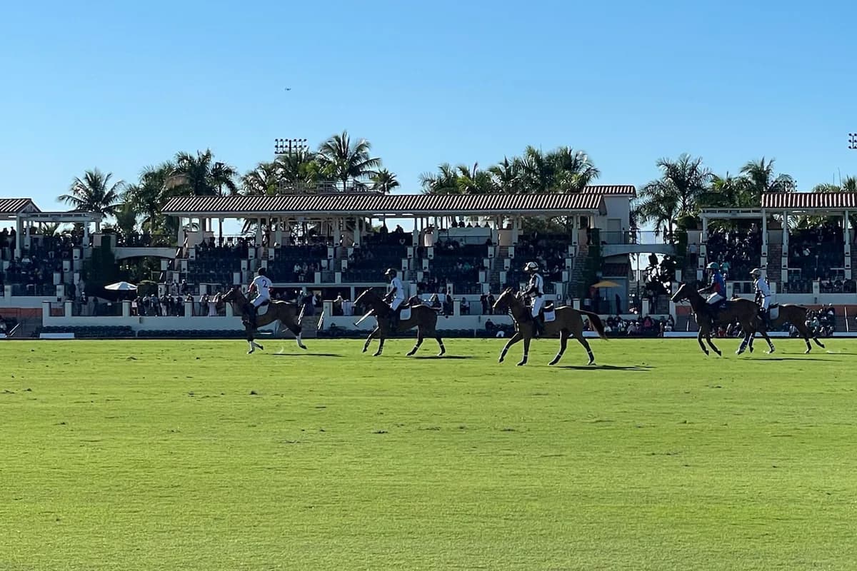 A polo match on a wide grass field in front of a grandstand with palm trees under a clear sky, part of the equestrian setting that shapes Wellington's dining calendar