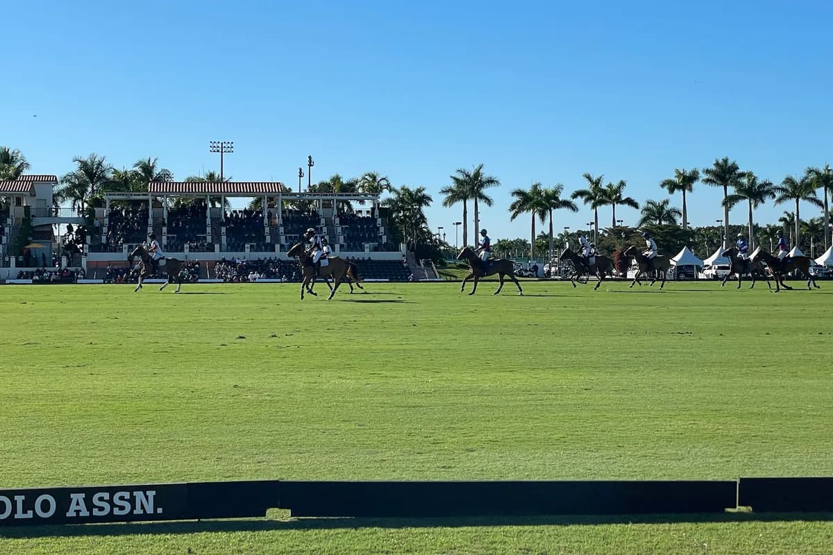 Riders strung across a grass polo field in front of a covered grandstand and palm trees under a blue sky