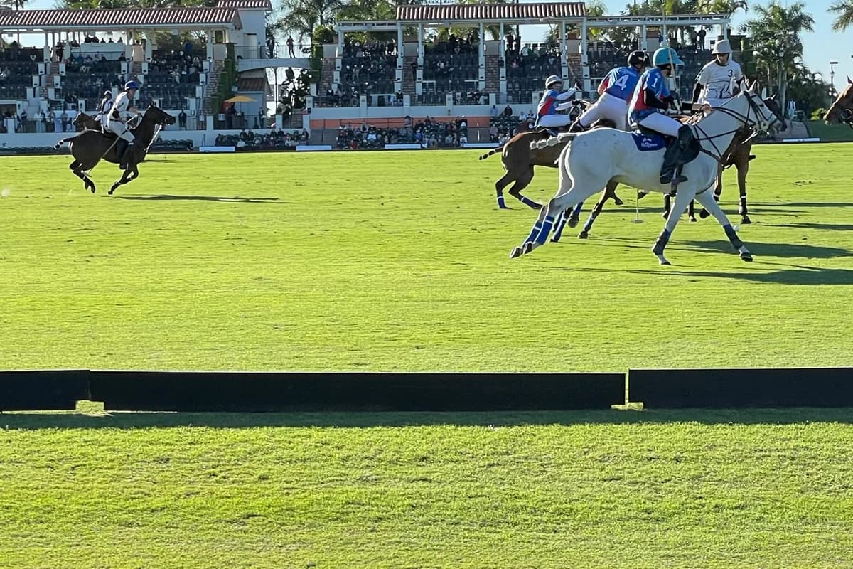A rider on a white horse and others contesting the ball on a grass polo field in front of a grandstand