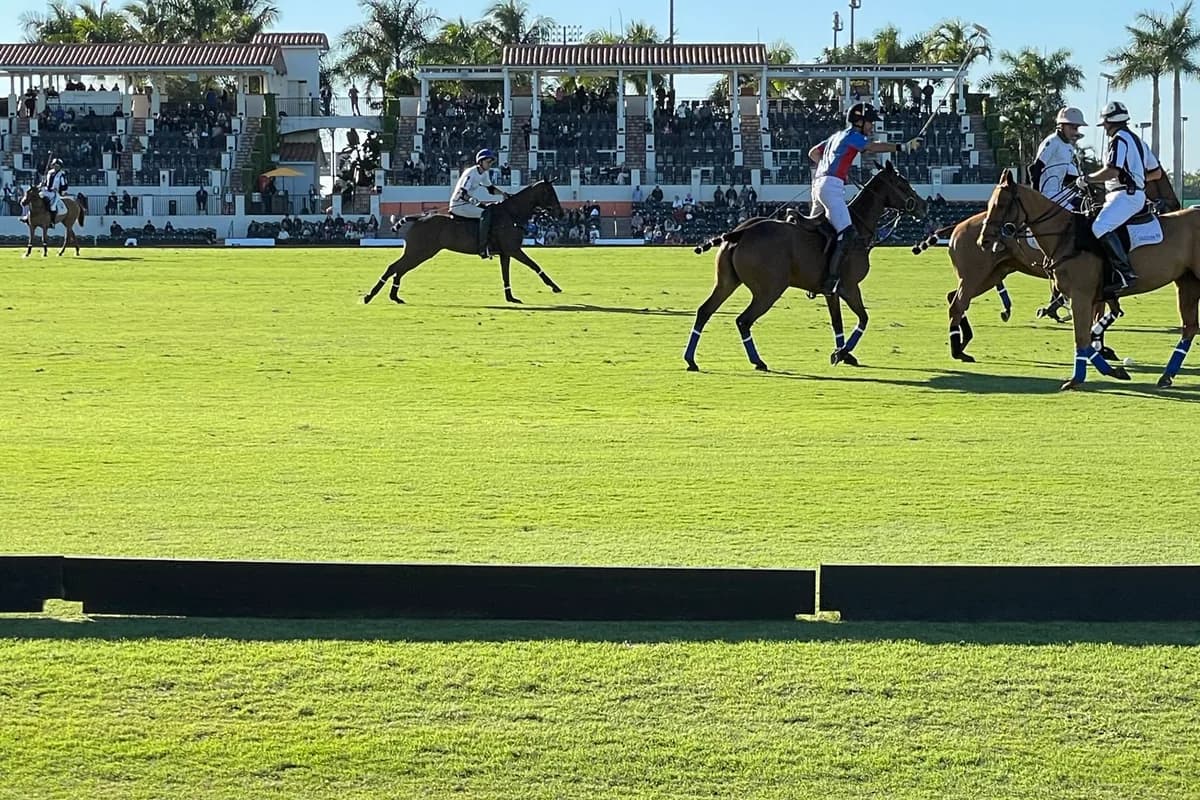 A polo match on a wide grass field in front of a grandstand under a clear sky, one of the equestrian settings that distinguishes Wellington