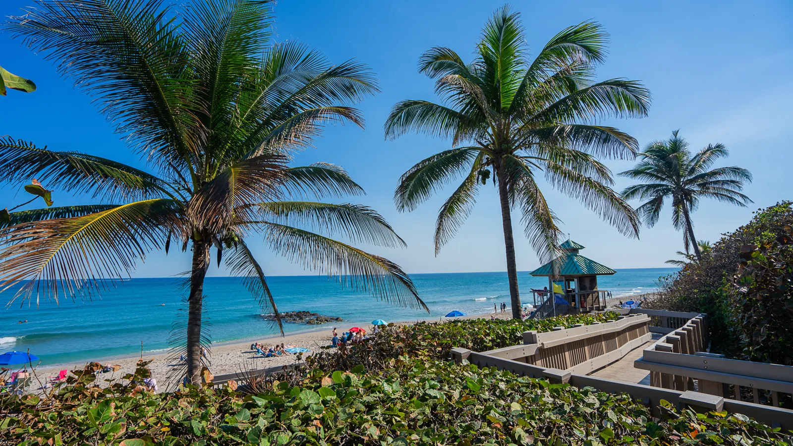 Beach access boardwalk with palm trees and lifeguard tower overlooking turquoise Atlantic