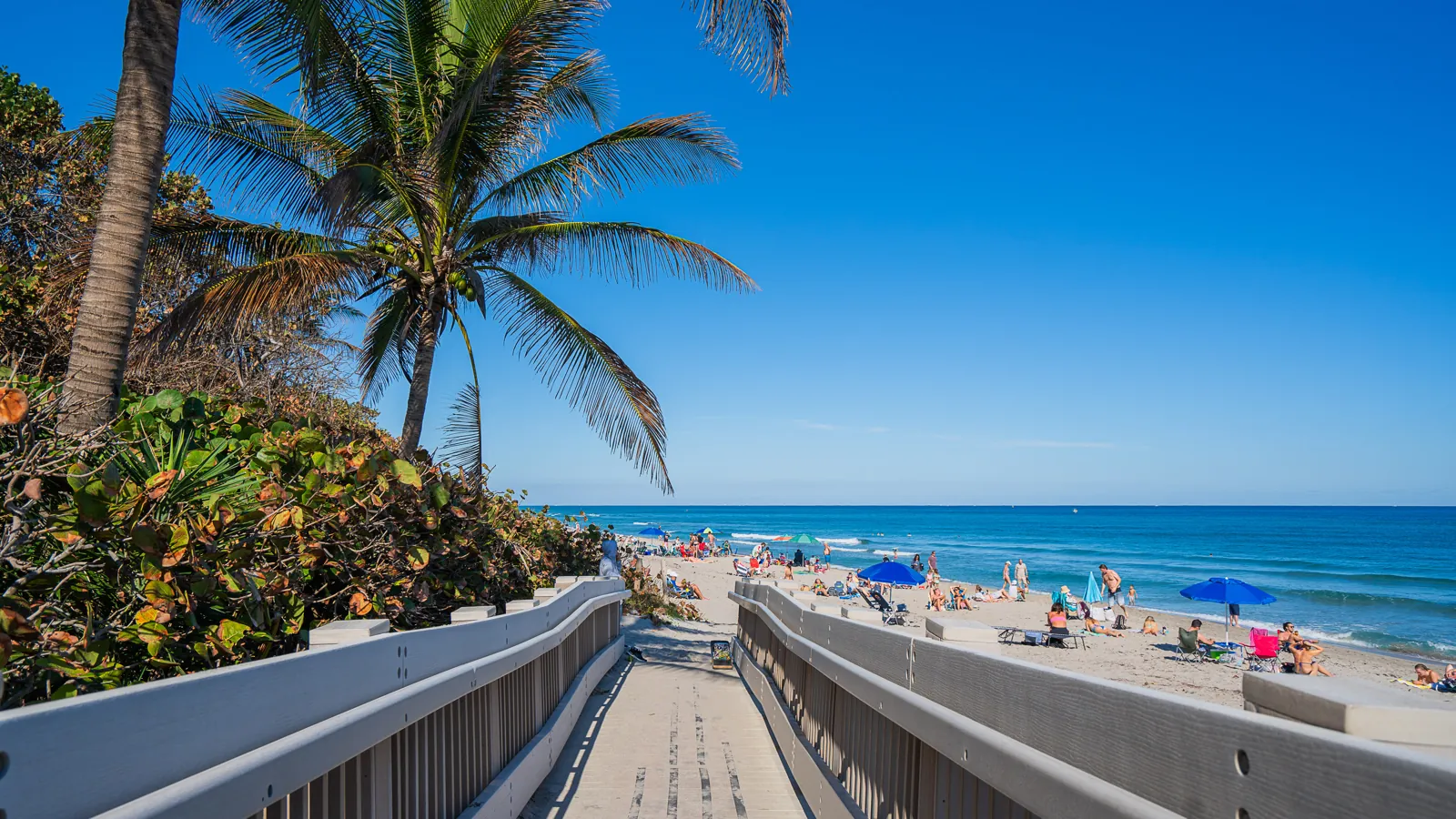 Beach boardwalk walkover leading to a sunny public beach with palm trees and turquoise Atlantic