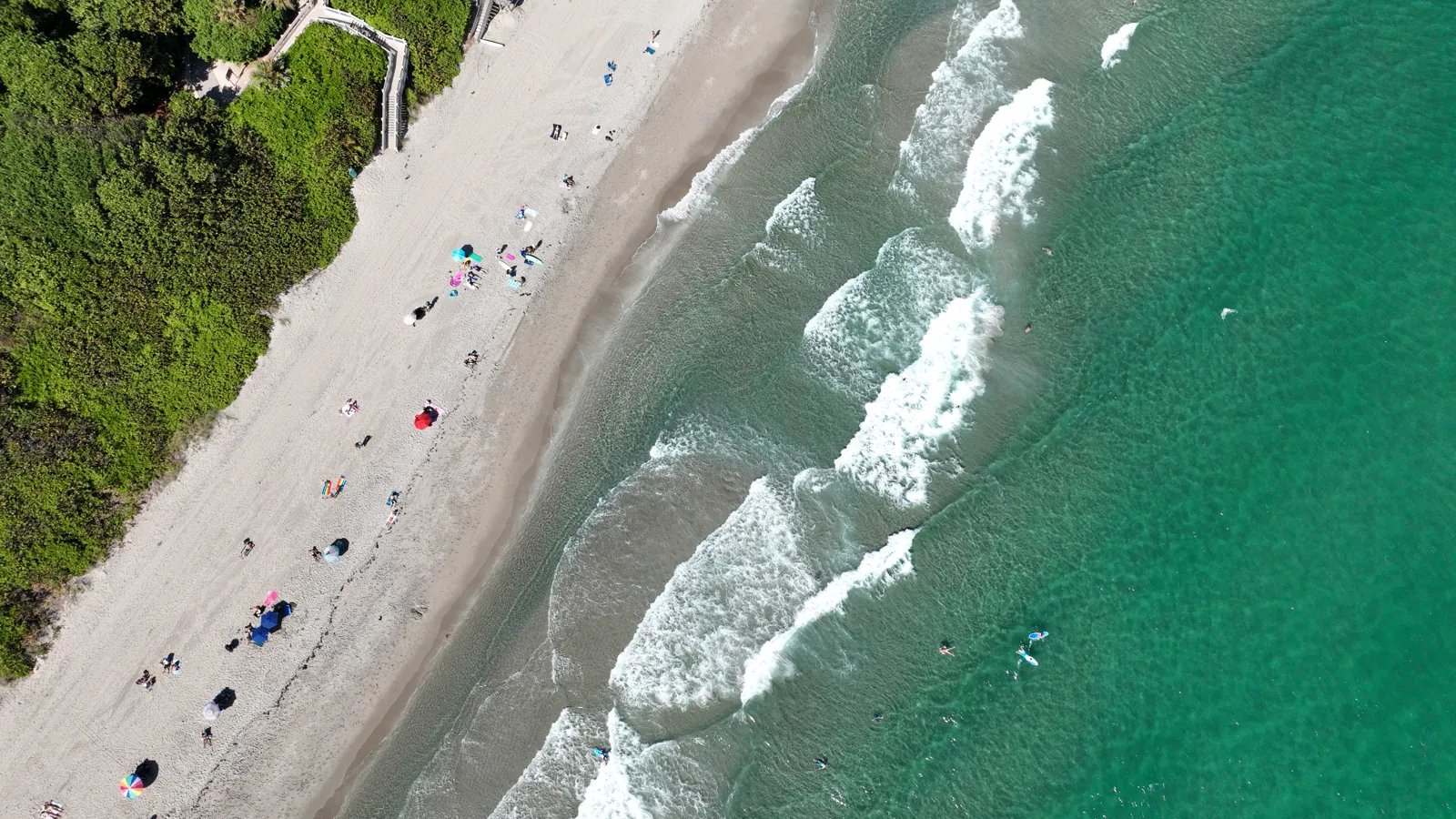 Top-down aerial of a sandy beach, dune vegetation, and turquoise surf