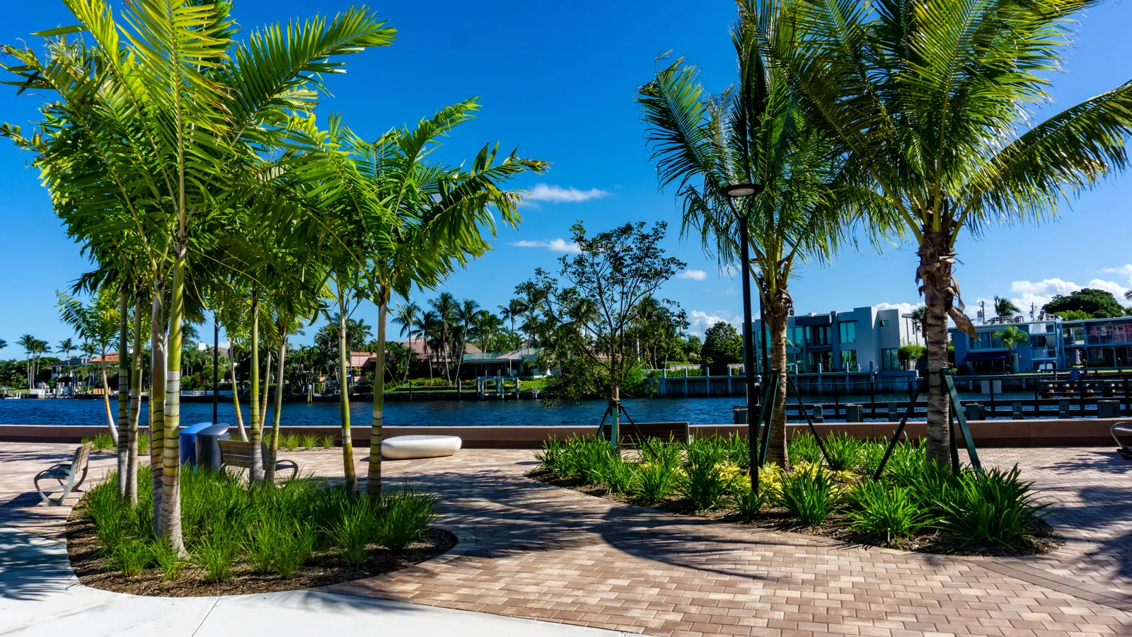 Waterfront promenade park with young palms, brick-paver walkway and Intracoastal views