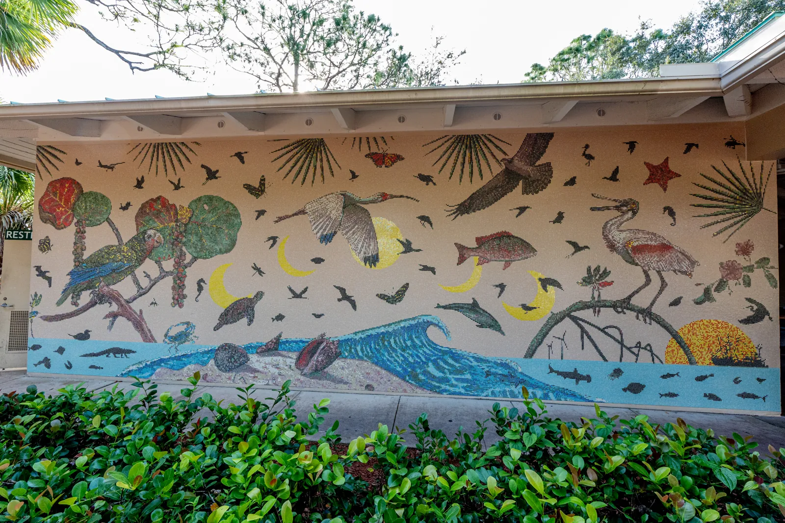 Large coastal-wildlife tile mosaic mural on a building wall
