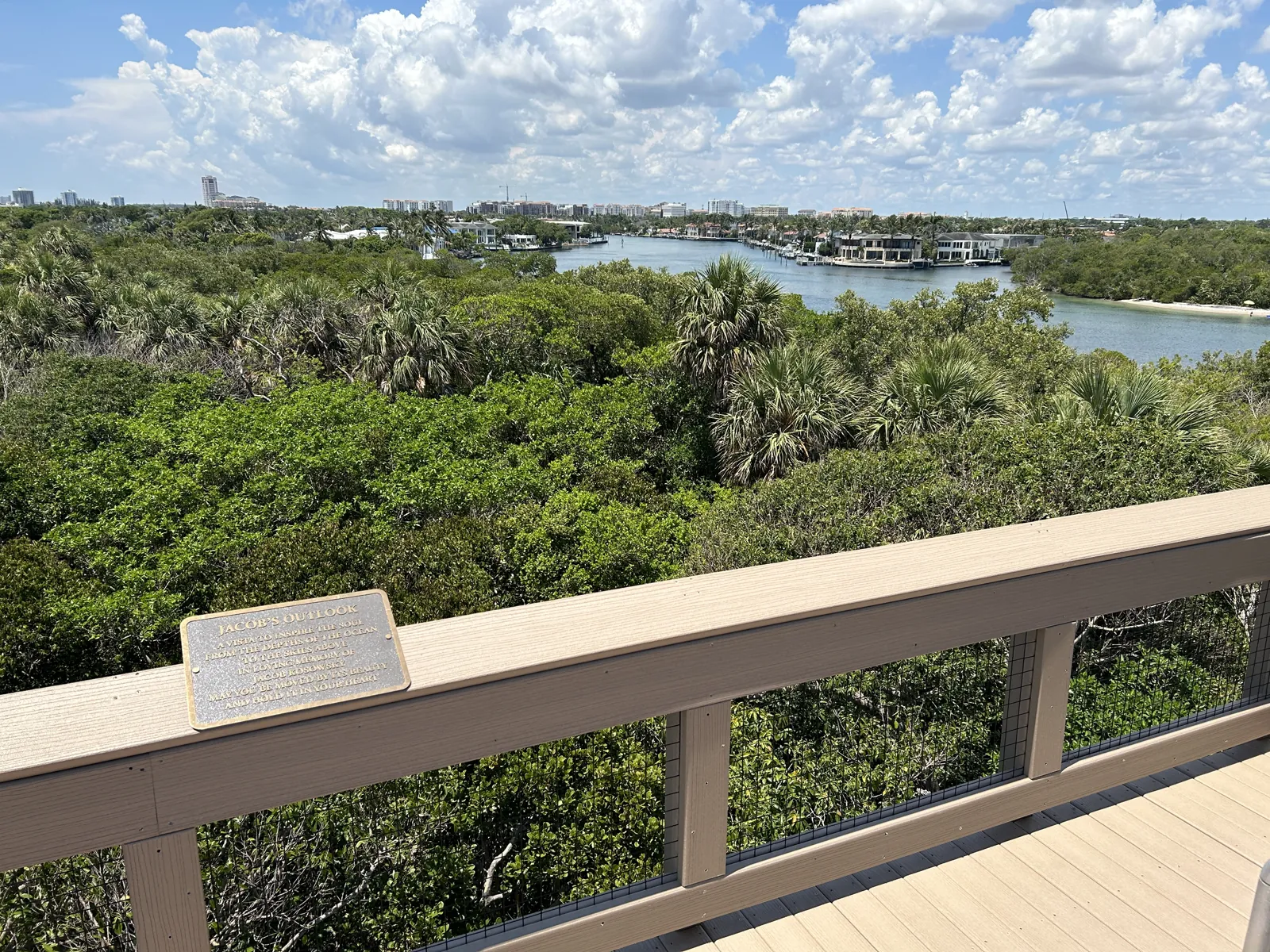 Elevated observation deck view over coastal mangrove canopy to Intracoastal Waterway