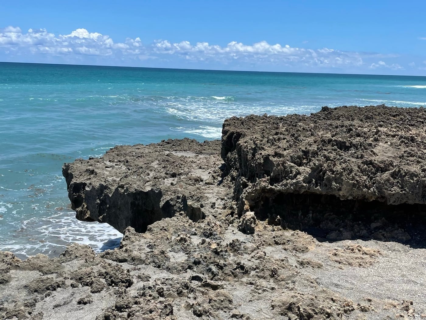 Undercut Anastasia limestone ledge above the Atlantic at Blowing Rocks Preserve, Jupiter Island, Florida