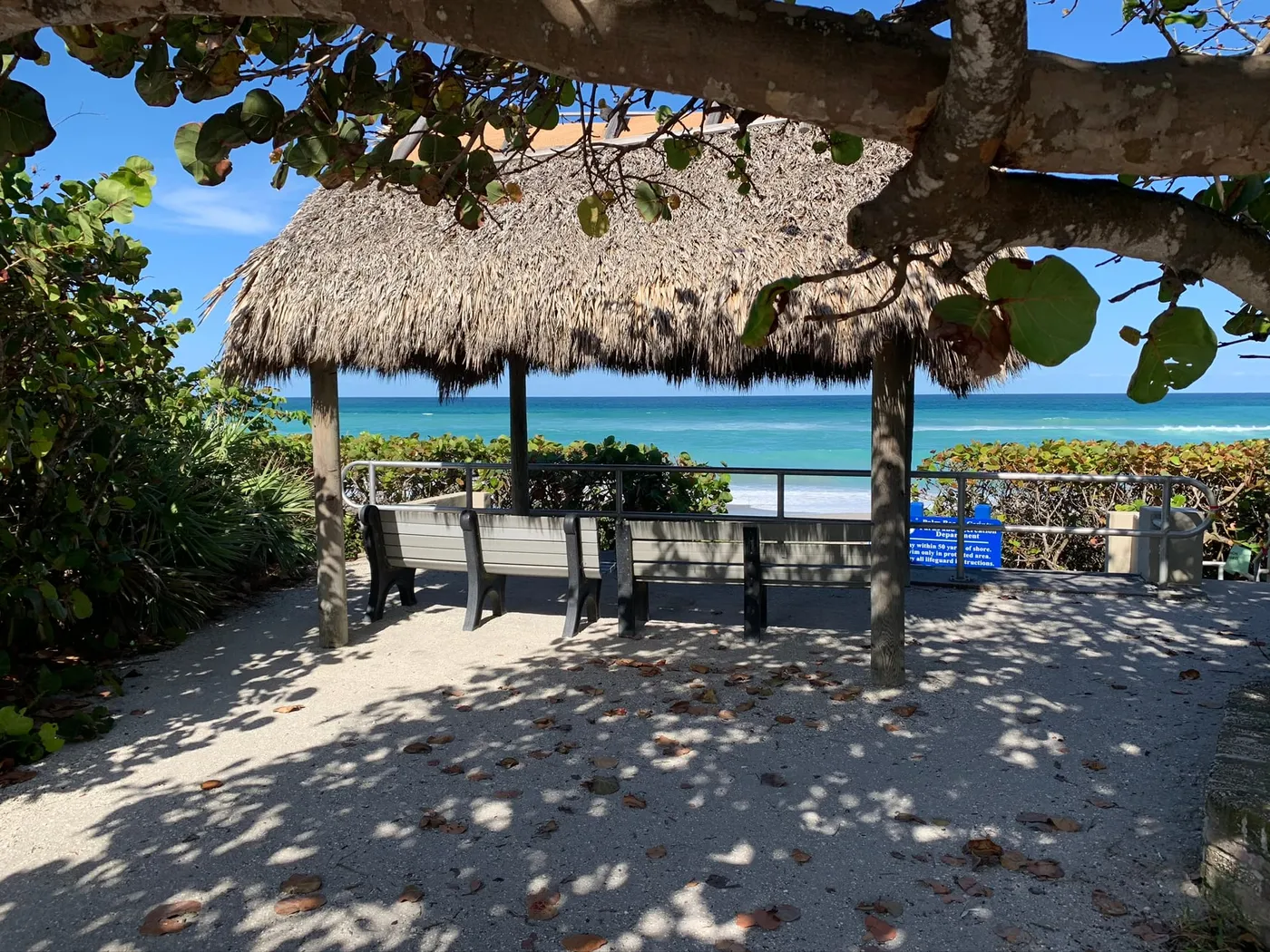 A thatched chickee shelter with benches under a sea grape tree at a beach access, with the ocean beyond and a Palm Beach County Parks sign