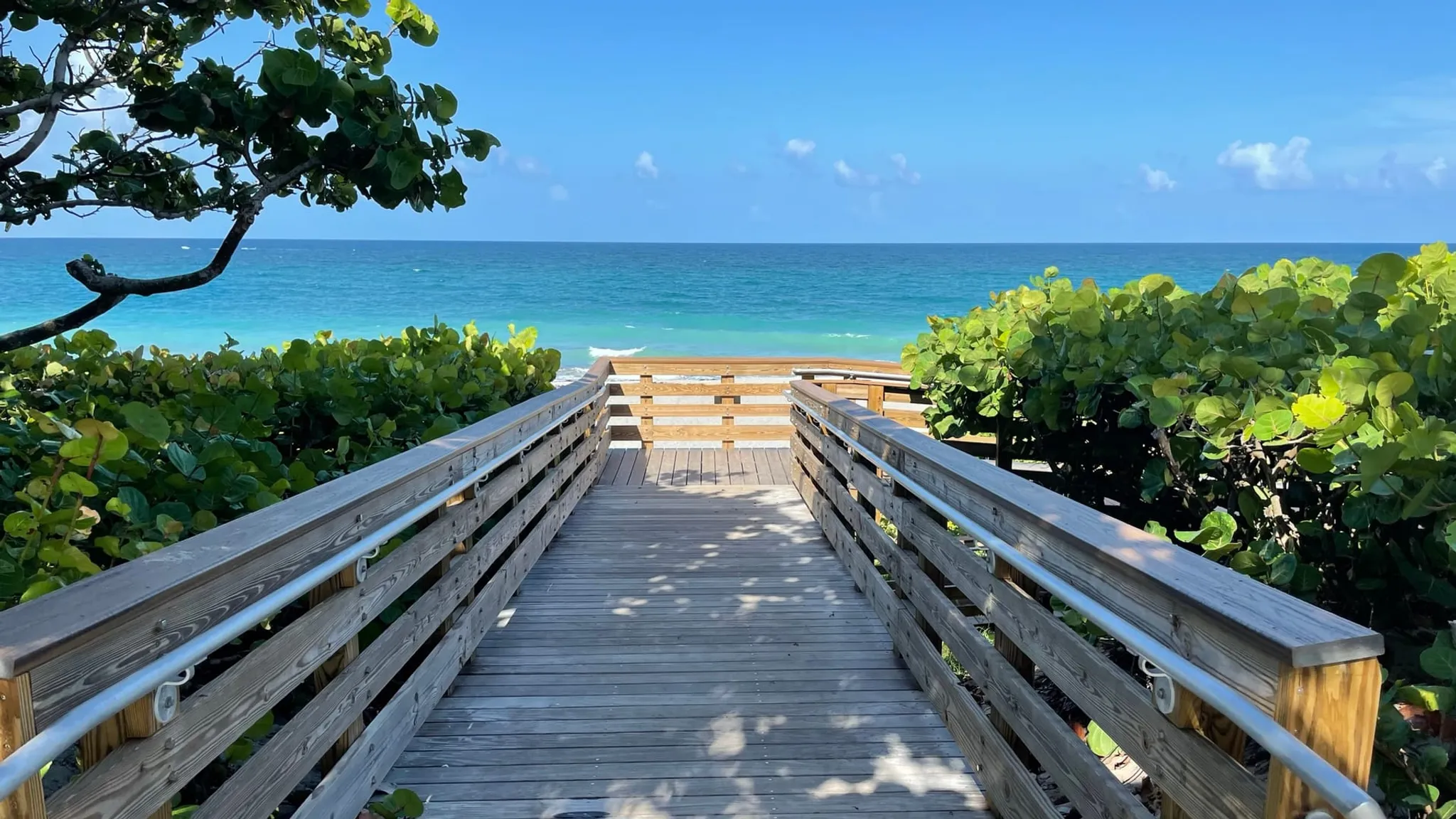 A Local's Guide to Juno Beach, Florida