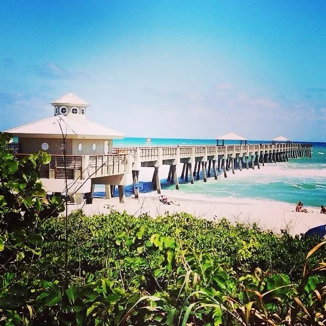 The Juno Beach Pier and pier house over the Atlantic, seen past sea grape on the dune