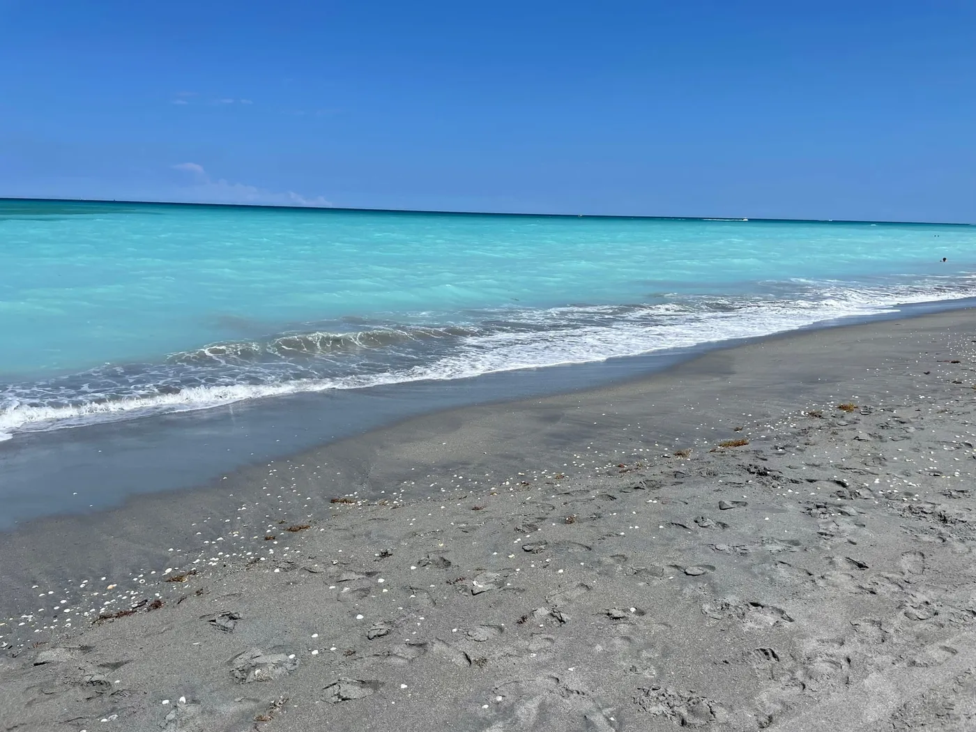The Atlantic breaking on a shelly beach in Juno Beach under a clear sky