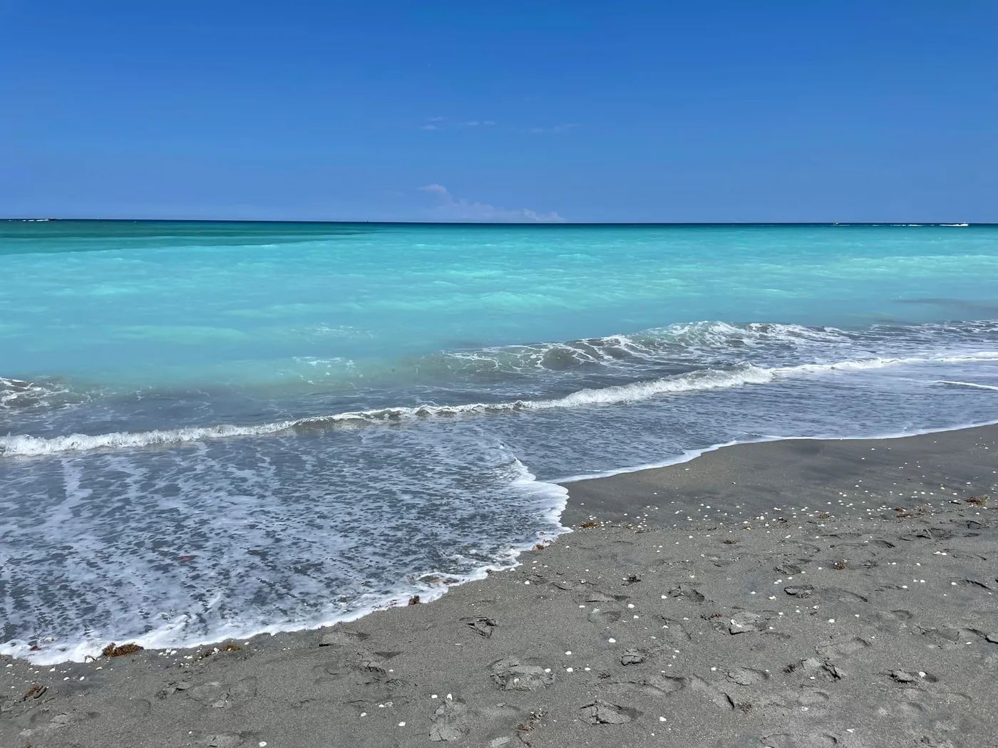 The Atlantic breaking on a shelly beach in Juno Beach under a clear blue sky