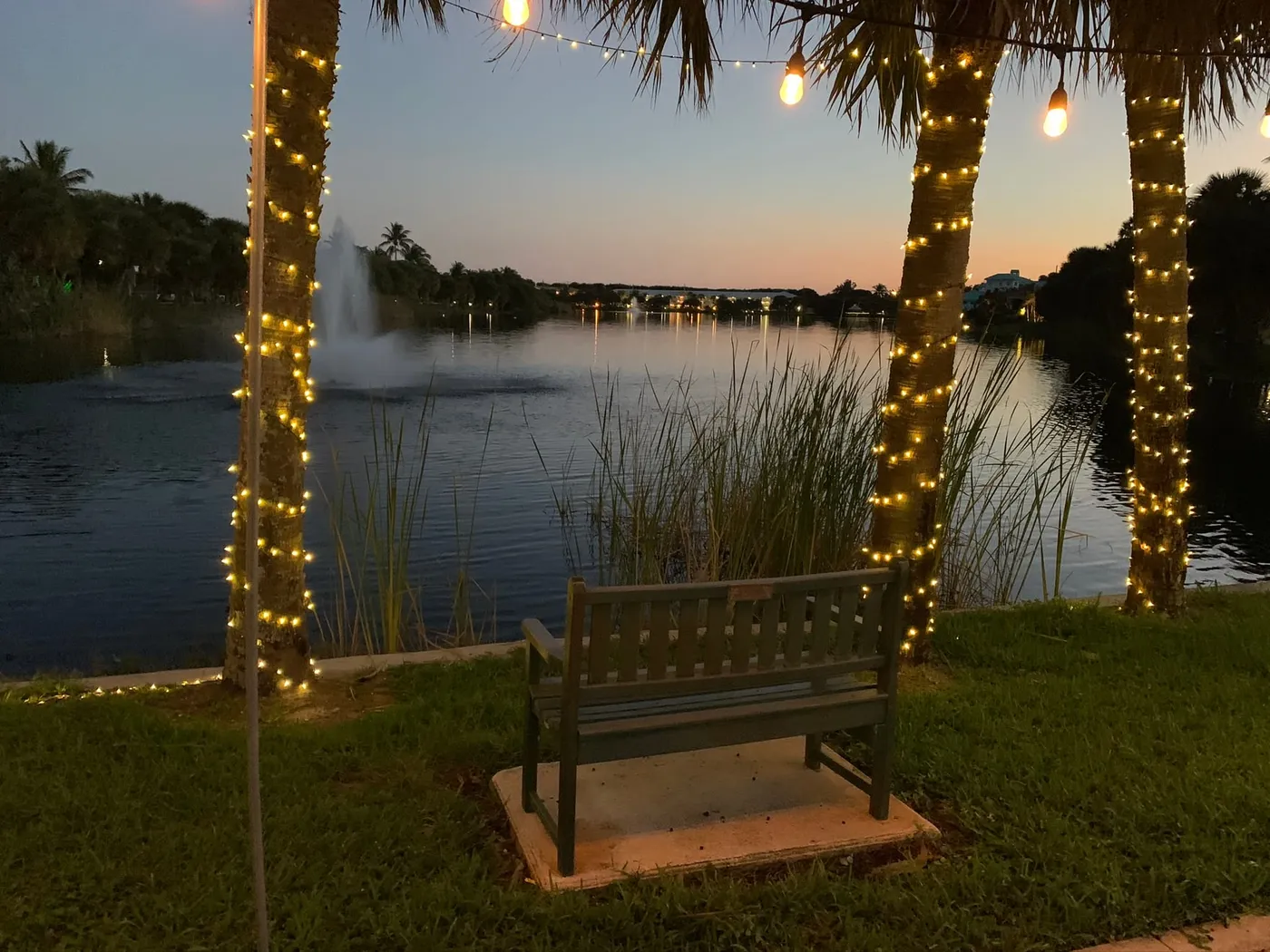 A bench beside Pelican Lake at dusk under string-lit palms, with a fountain on the water and trees along the far shore