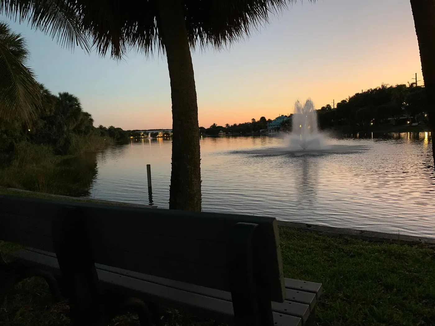 Pelican Lake at dusk with a lit fountain, framed by a palm trunk, with a bench in the foreground