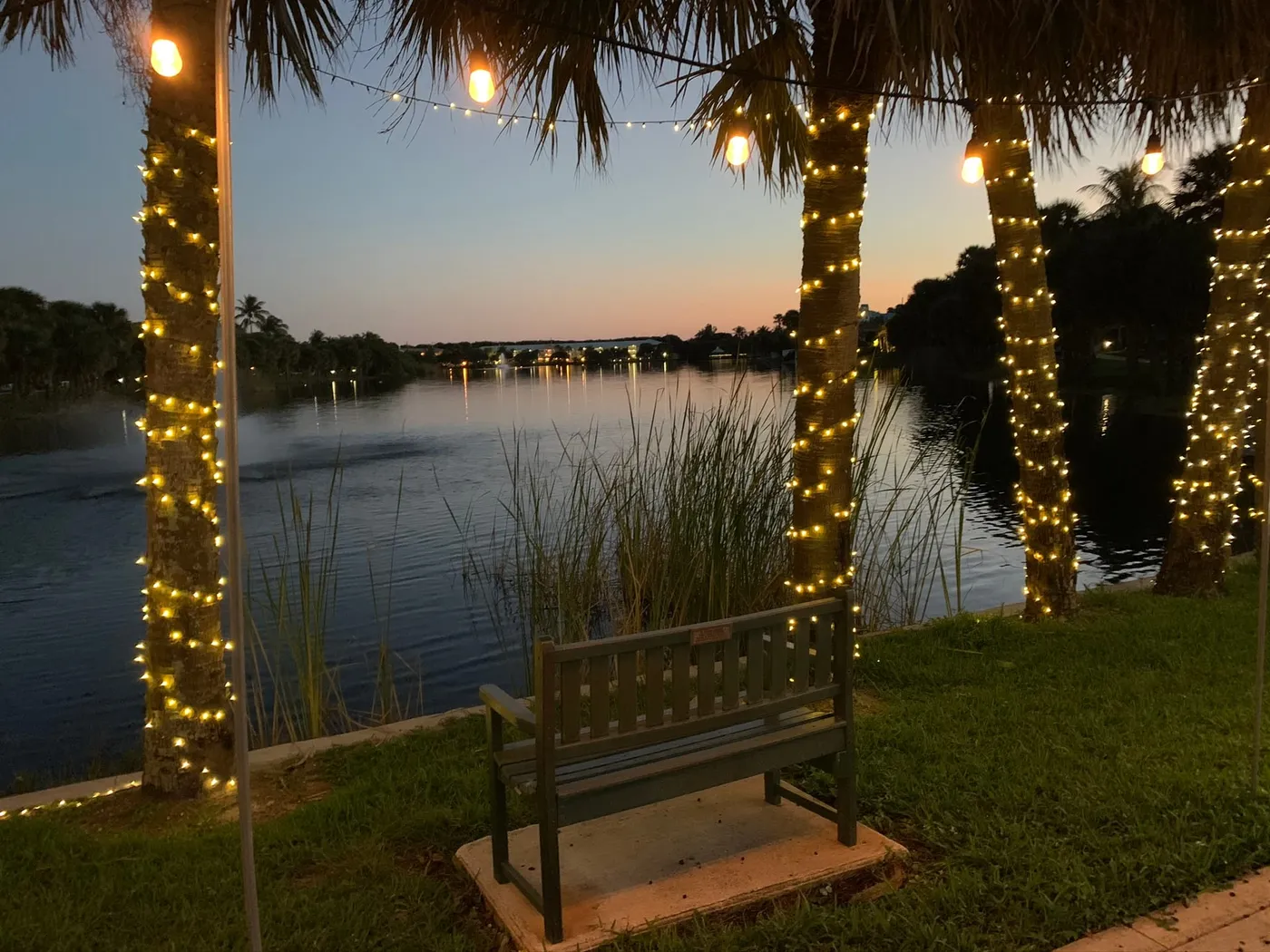 Palm trunks wrapped in string lights frame a bench beside Pelican Lake at dusk, with reeds at the water’s edge