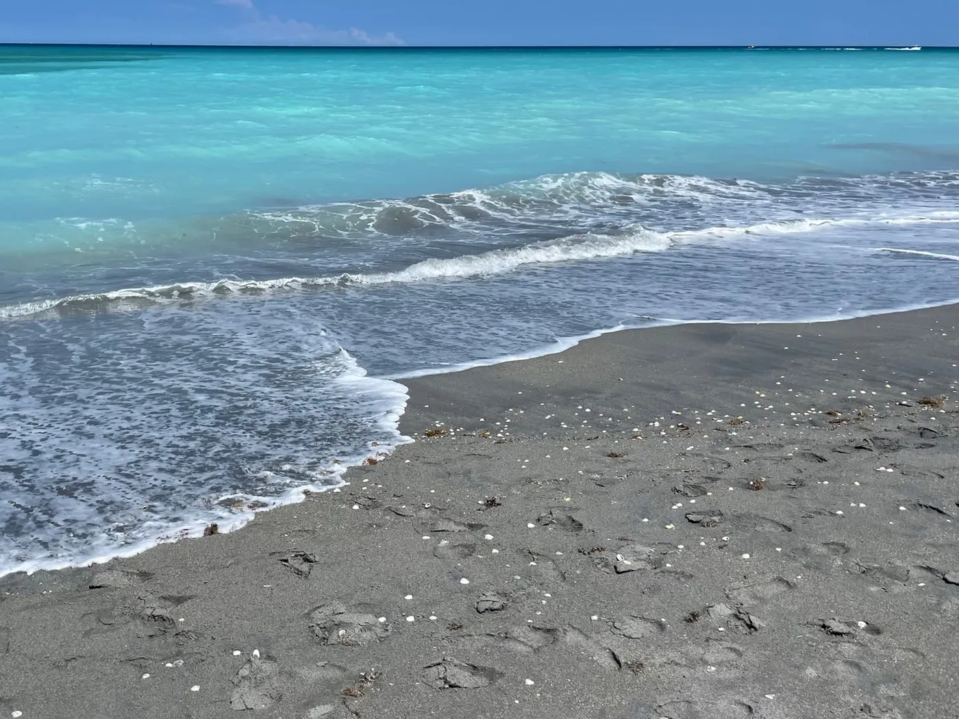 Turquoise surf washing up a shell-scattered beach in Juno Beach