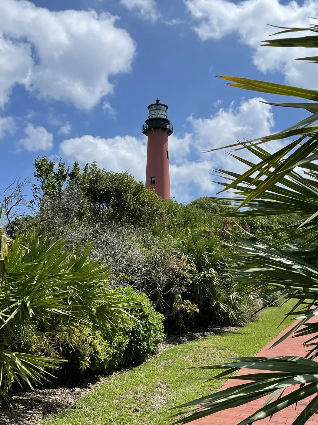 The full red brick tower of the Jupiter Inlet Lighthouse seen from its grounds, with saw palmetto, a brick path and cumulus clouds