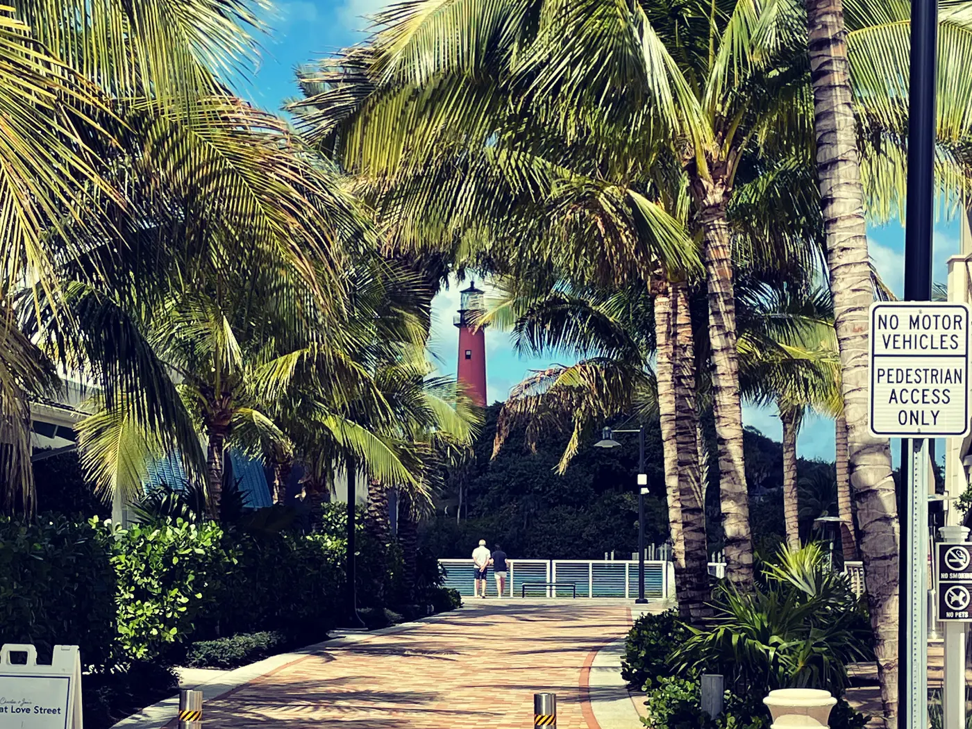A brick pedestrian walkway between coconut palms leading to a railing on the water, with the Jupiter Inlet Lighthouse across the inlet