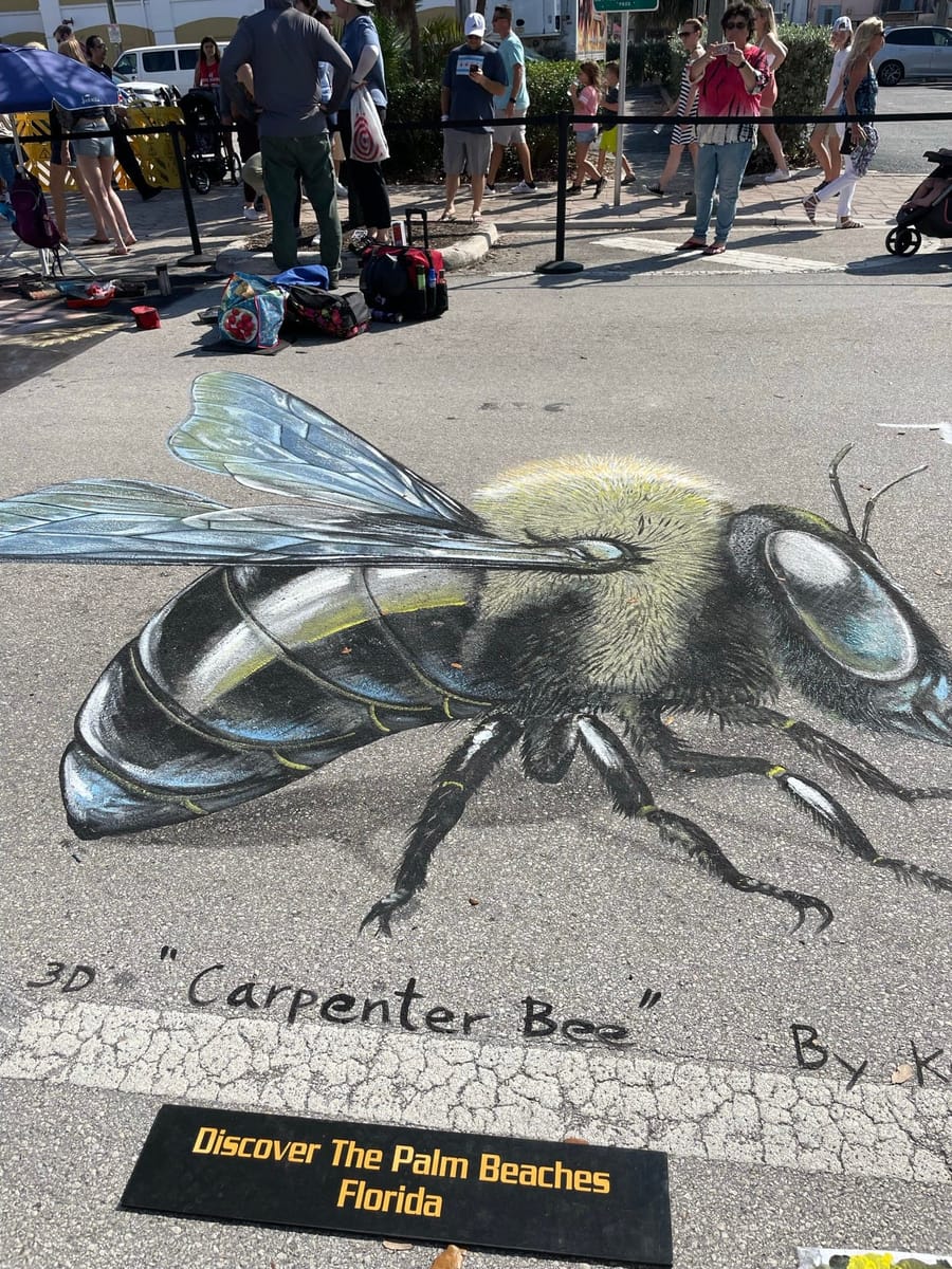 A 3D chalk drawing of a carpenter bee on the asphalt