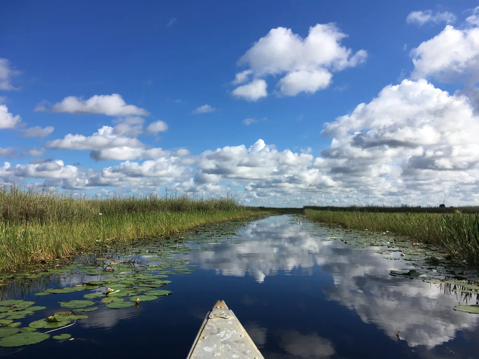 A canoe bow on a still, reflective canal lined with sawgrass under big cumulus clouds at Arthur R. Marshall Loxahatchee National Wildlife Refuge
