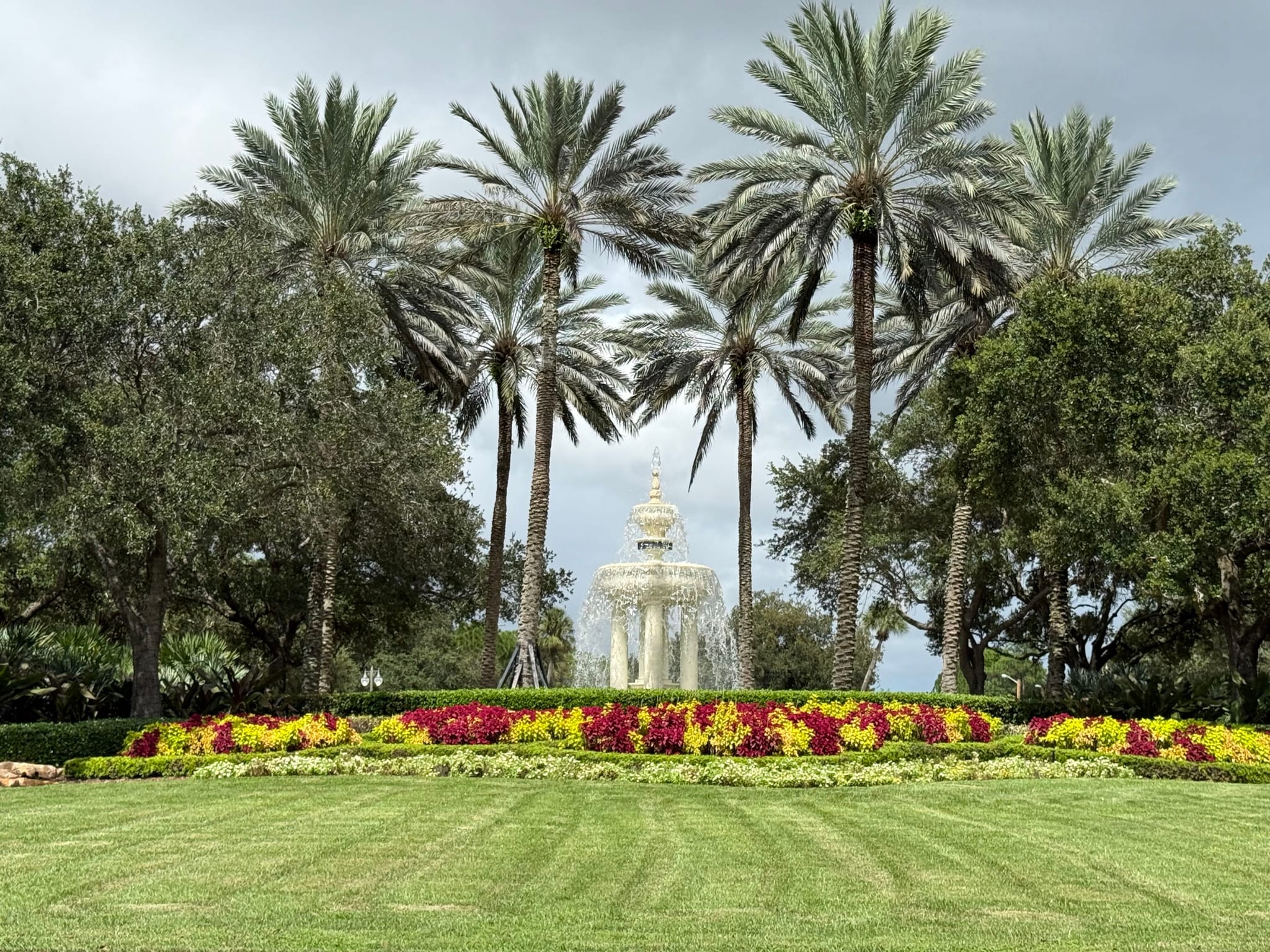 Mirasol 1