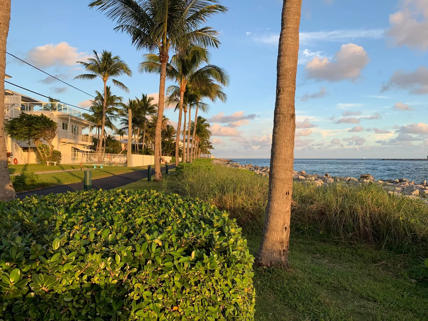 Low-rise homes and palms beside the rock-lined Lake Worth Inlet at the south end of Singer Island