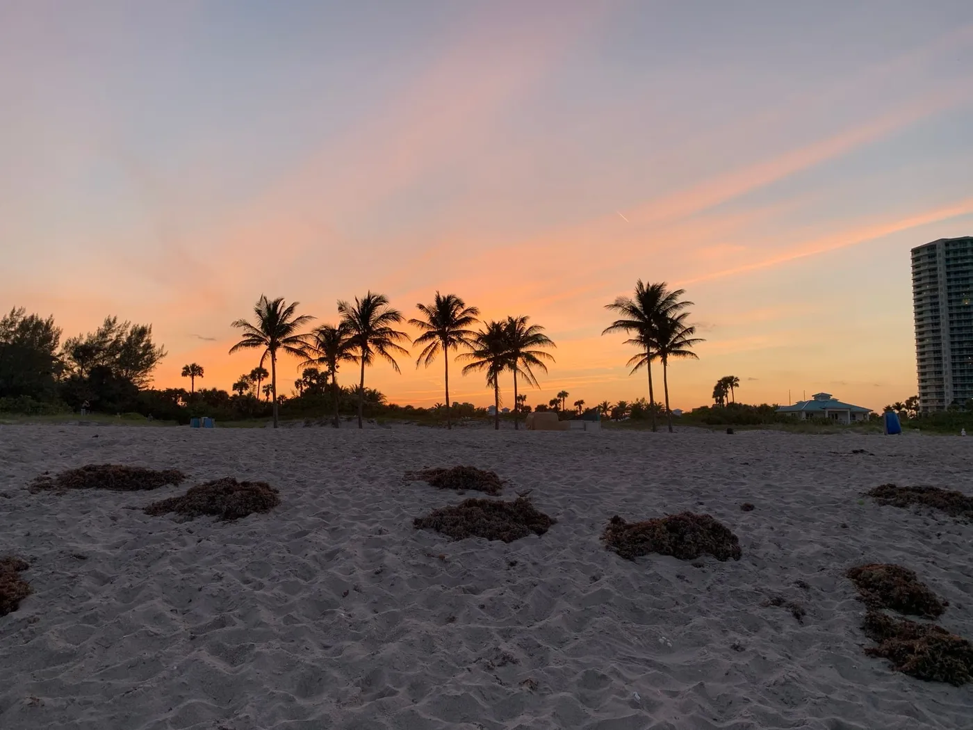 Palm trees silhouetted against an orange sky at dusk on an empty Singer Island beach, with a tower at the right