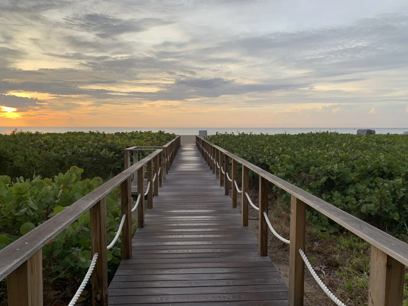 Wooden beach boardwalk through sea grape dunes at sunrise