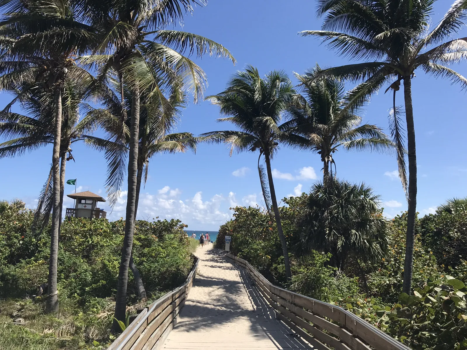 Beach boardwalk path flanked by coconut palms leading to ocean, with lifeguard tower