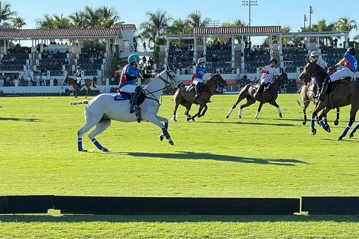 A rider on a white horse at speed ahead of other riders during a polo match, with a covered grandstand and palm trees behind