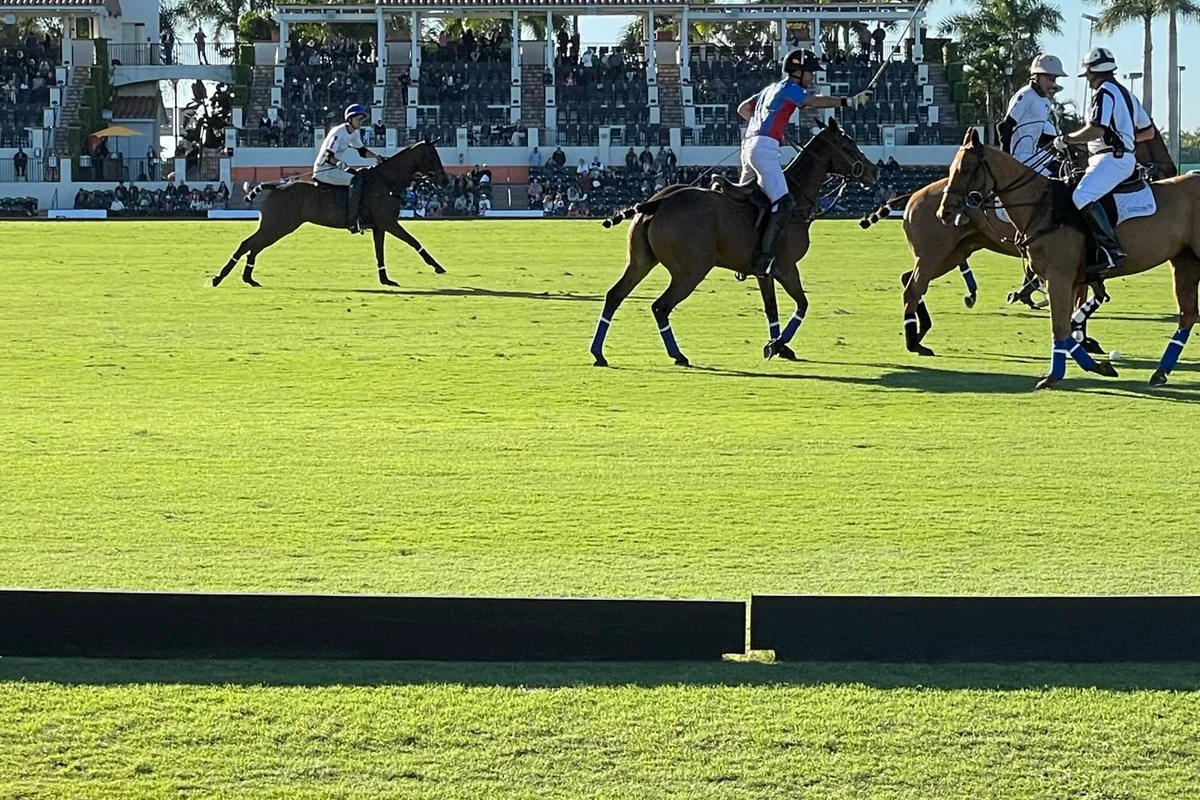 Riders on brown horses contesting the ball in front of a covered grandstand on a polo field