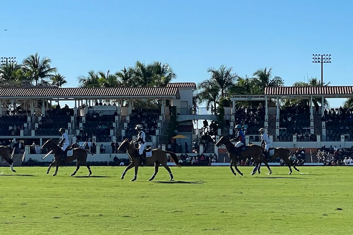 Riders on horseback strung across a polo field in front of a covered grandstand with palm trees