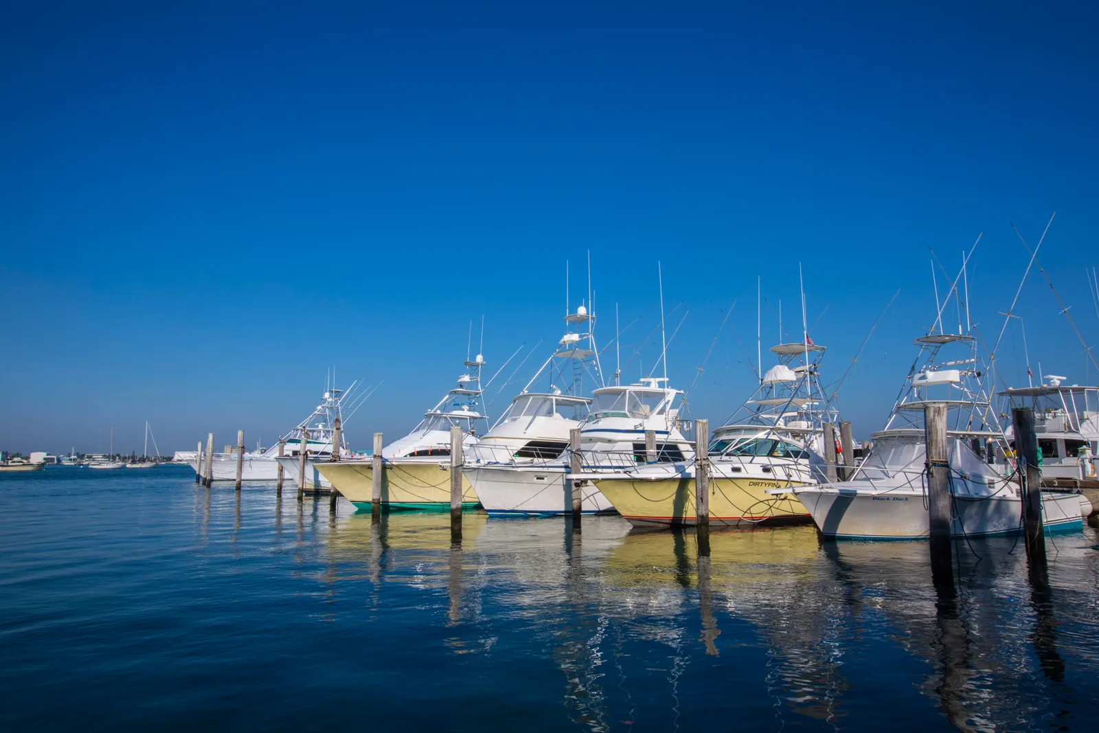 Row of sportfishing boats docked at a marina under a deep blue sky