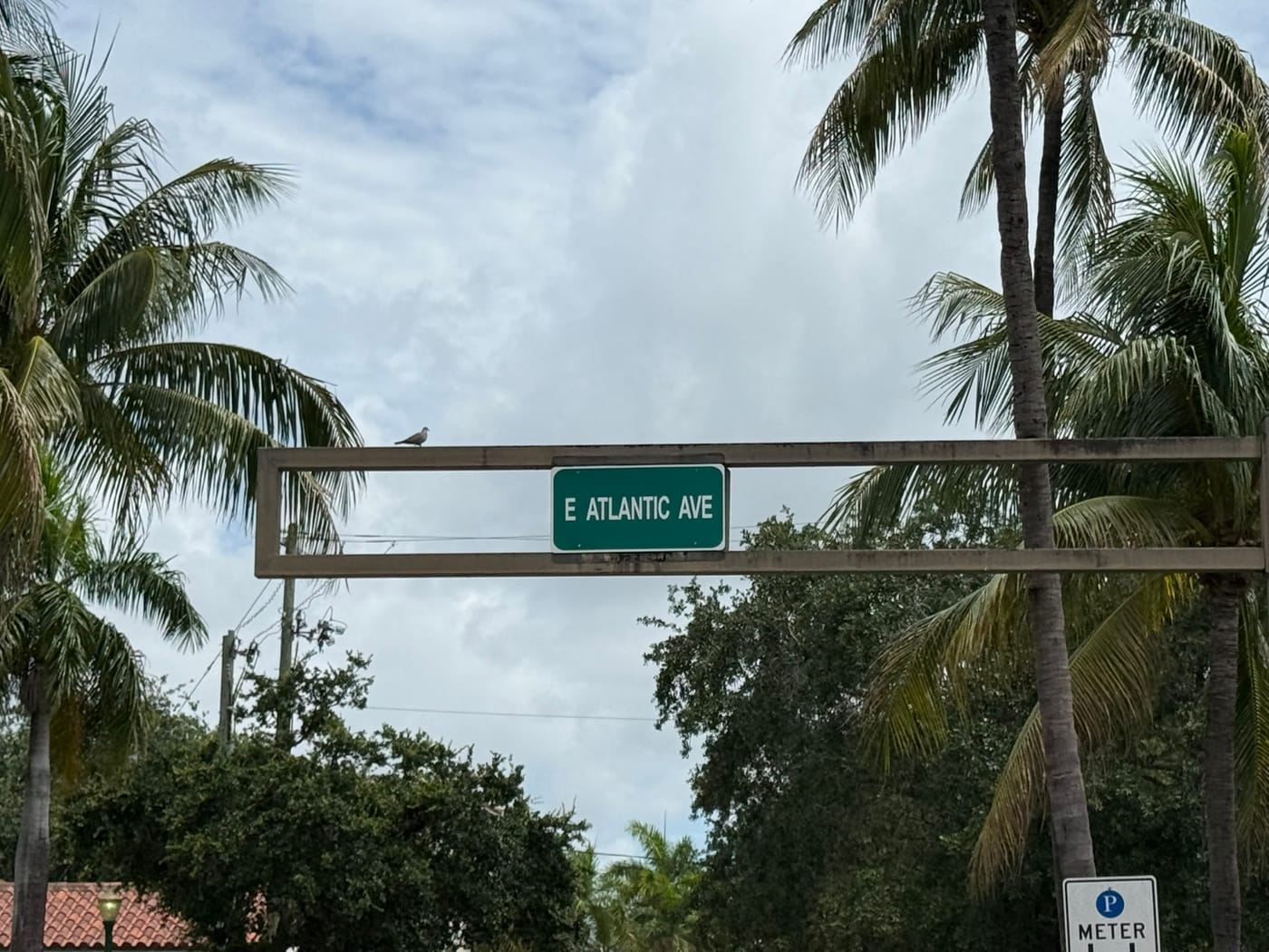 The E Atlantic Ave street sign on an overhead mast arm framed by palm trees