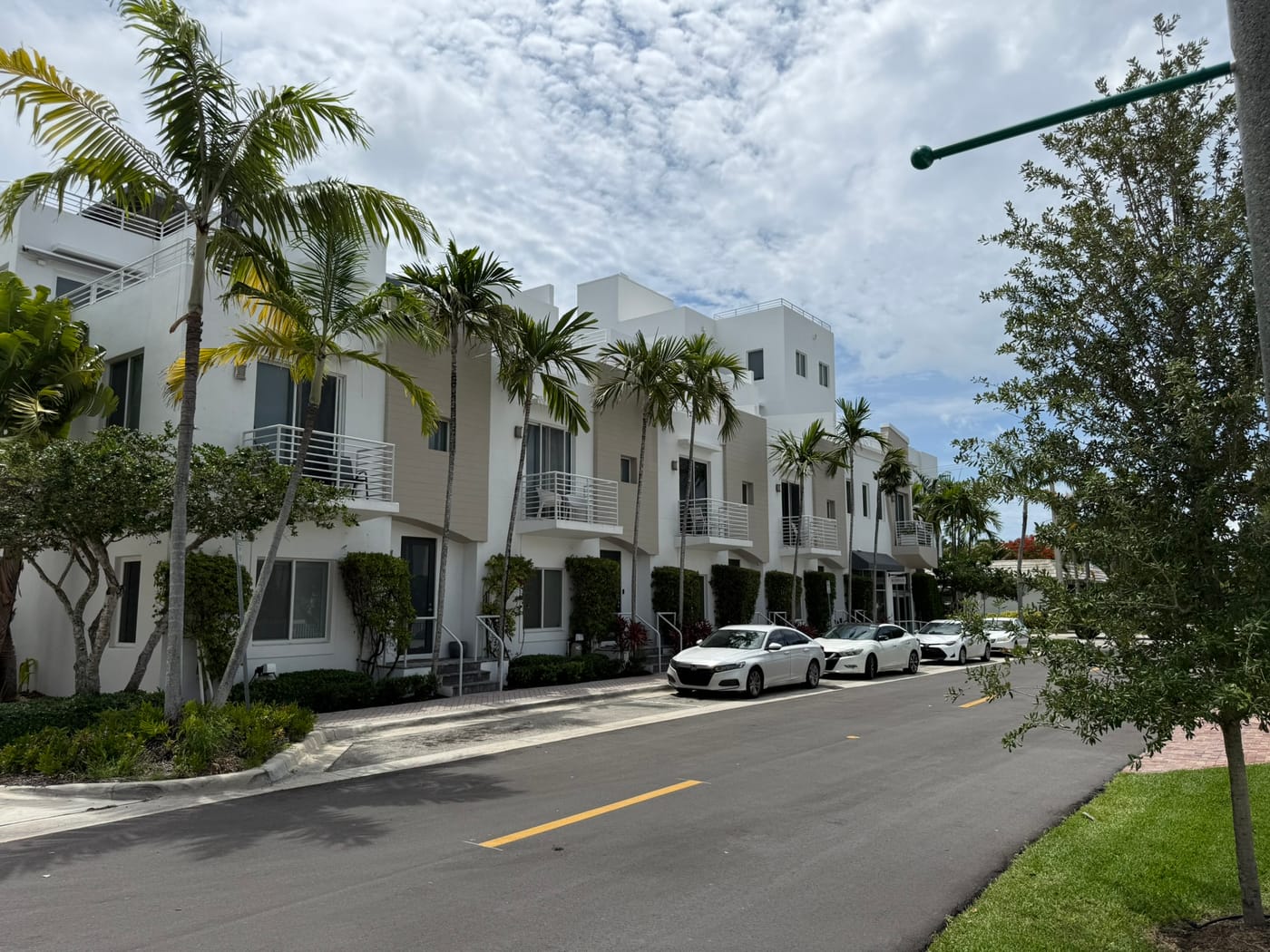 A row of modern three-story townhomes with palms and a two-lane street in front